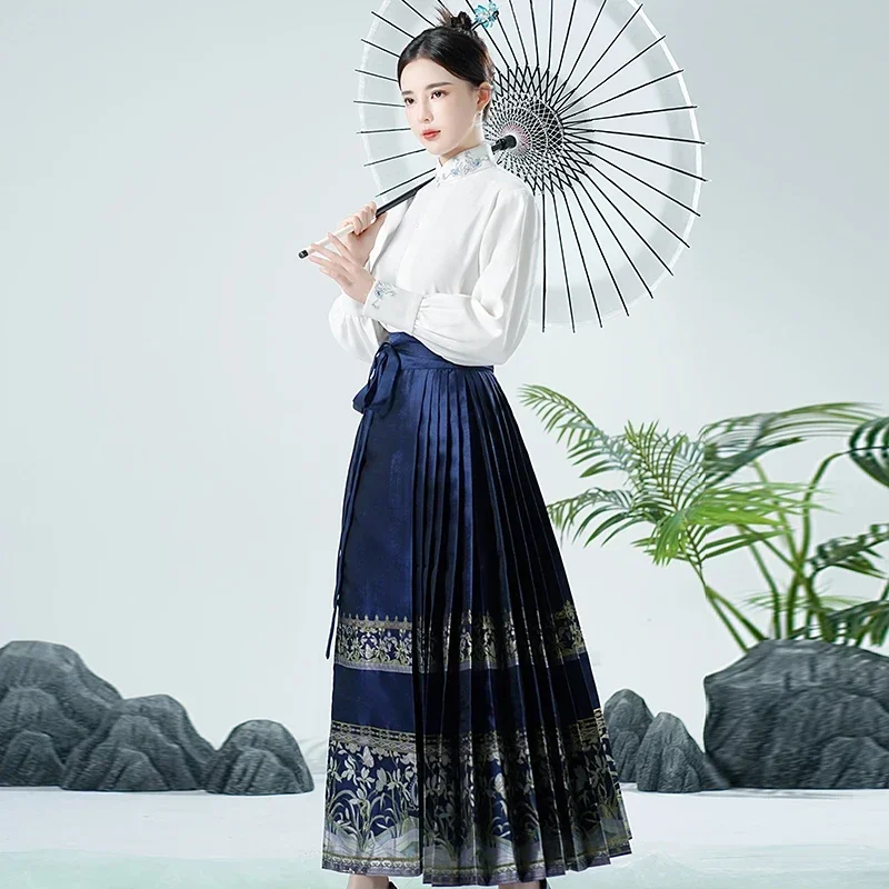 Traditional Dress Hanfu Embroidered Blue Horse-Face Skirt Long Sleeve Stand-up Collar Shirt Chinese Costume