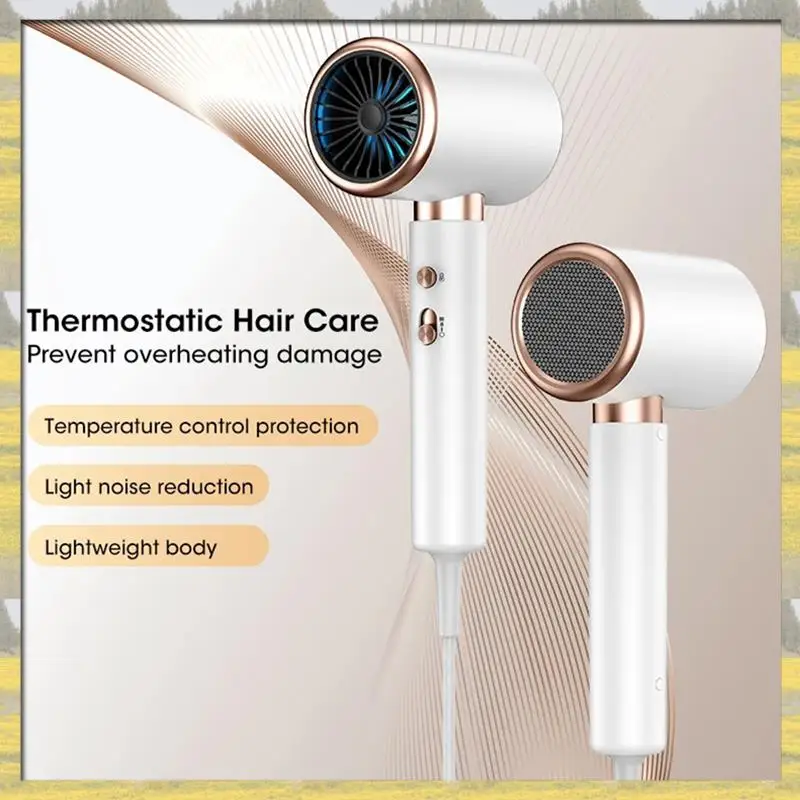 

Hot Sale High-Speed Electric Turbine Airflow Constant Temperature And Quick Drying Suitable For Home Use US Plug