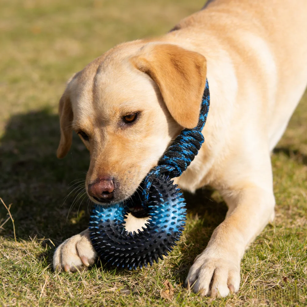 Spike Ball Game - Juguete Interactivo para Masticar y Tirar: