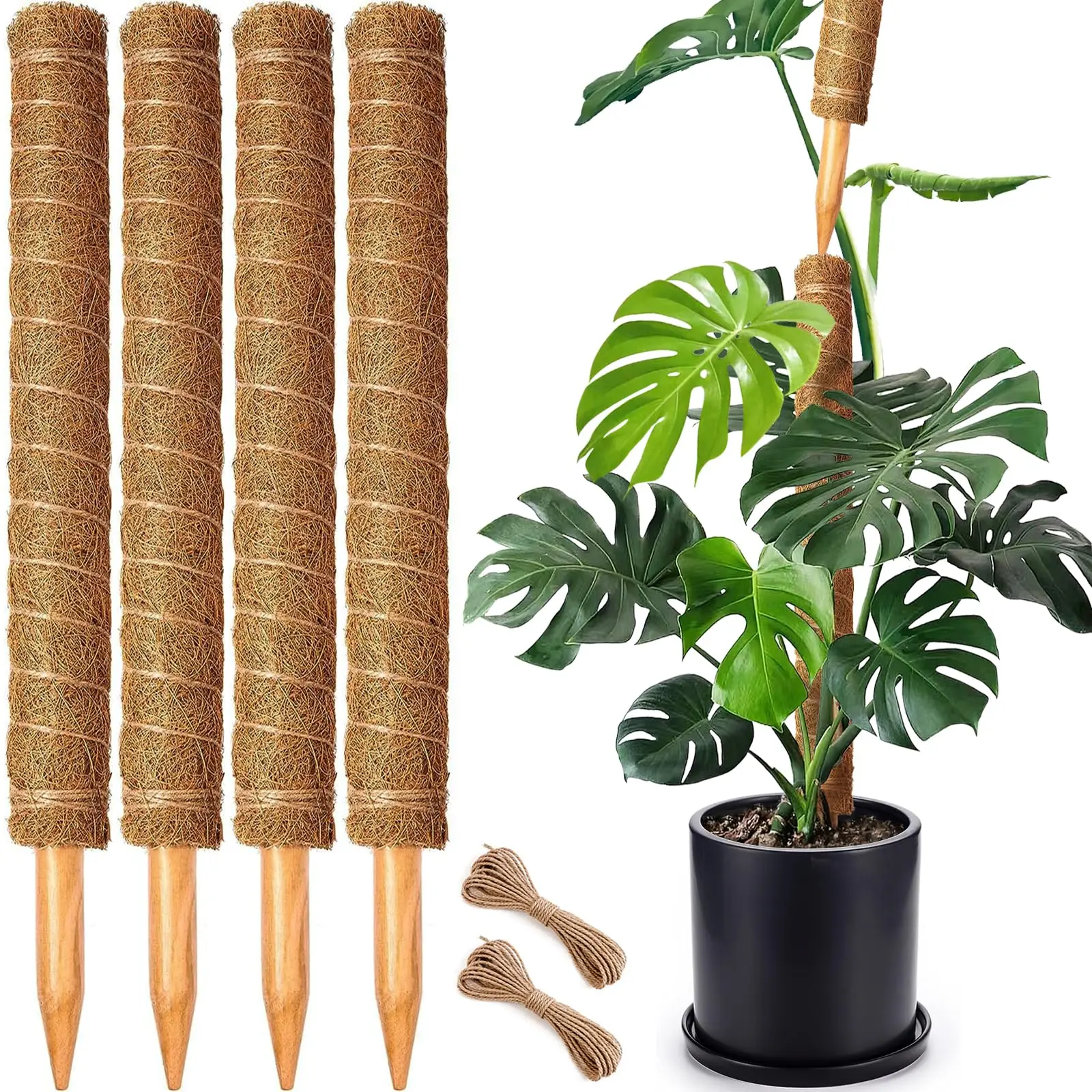 Poteaux de mousse empilables pour plantes Monstera pour plantes grimpantes, Totem de voiture, Support pour plantes, piquets pour plantes en pot