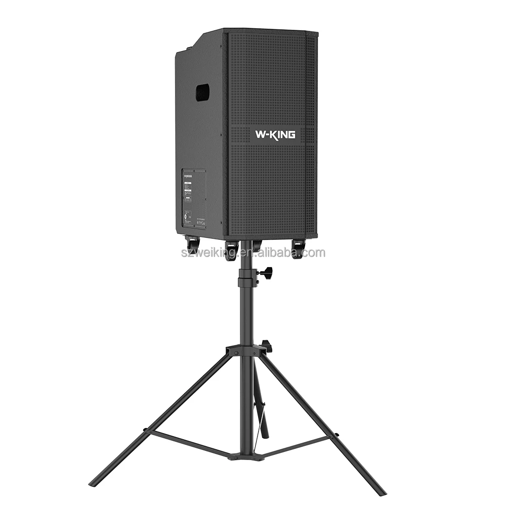 

Original W-KING K20 Big 260W Output Portable Wooden Rechargeable Active Trolley Sound Equipment Stage Line Array Speaker Box
