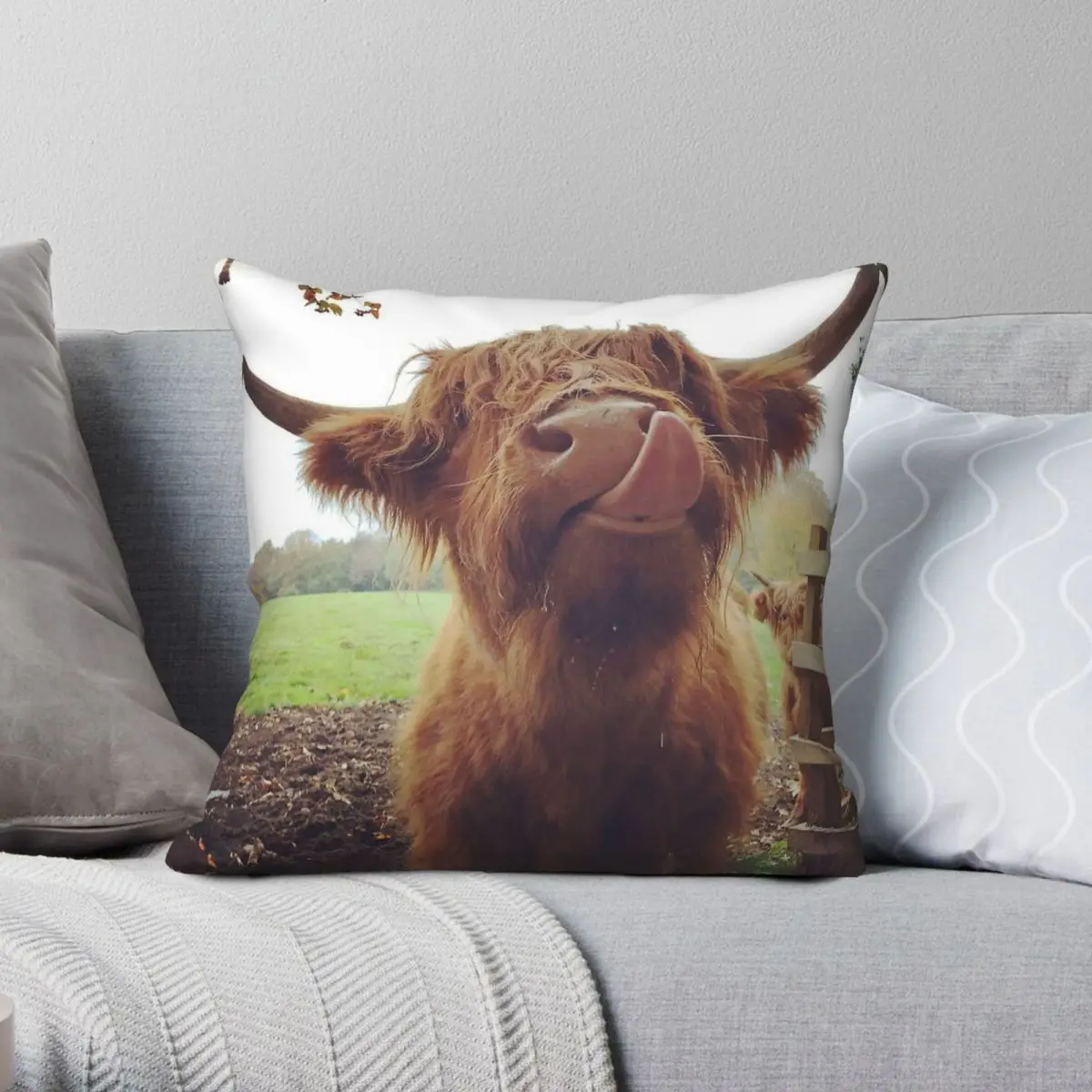 Highland Cattle Croxteth Park funda de almohada cuadrada, poliéster, lino, terciopelo, patrón, decoración con cremallera, funda de cojín para habitación, 18"