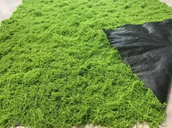 Aqumotic Turf Grass for Dogs Turf Fake Grass for Backyard Landscape Layout Green Capto Plant Cesped Pet Turf Artificial Grass
