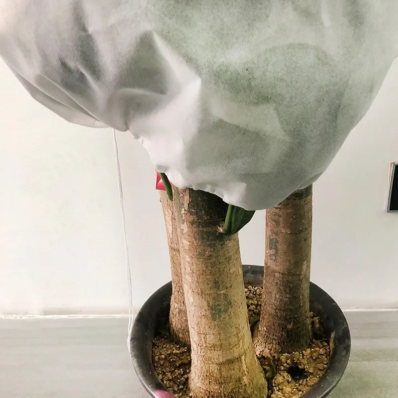 Copertura antigelo Protezione dal freddo autunnale e invernale Copertura per albero Borsa antigelo per piante Copertura fredda per piante non tessute