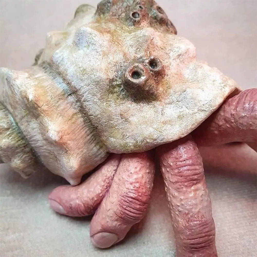 Finger Spielzeug Realistische Harz Finger Krabbe Simulation Muschel Shell Parasitäre Finger Krabbe Bunte Schnecke Einsiedlerkrebs Spielzeug Kind Geschenk