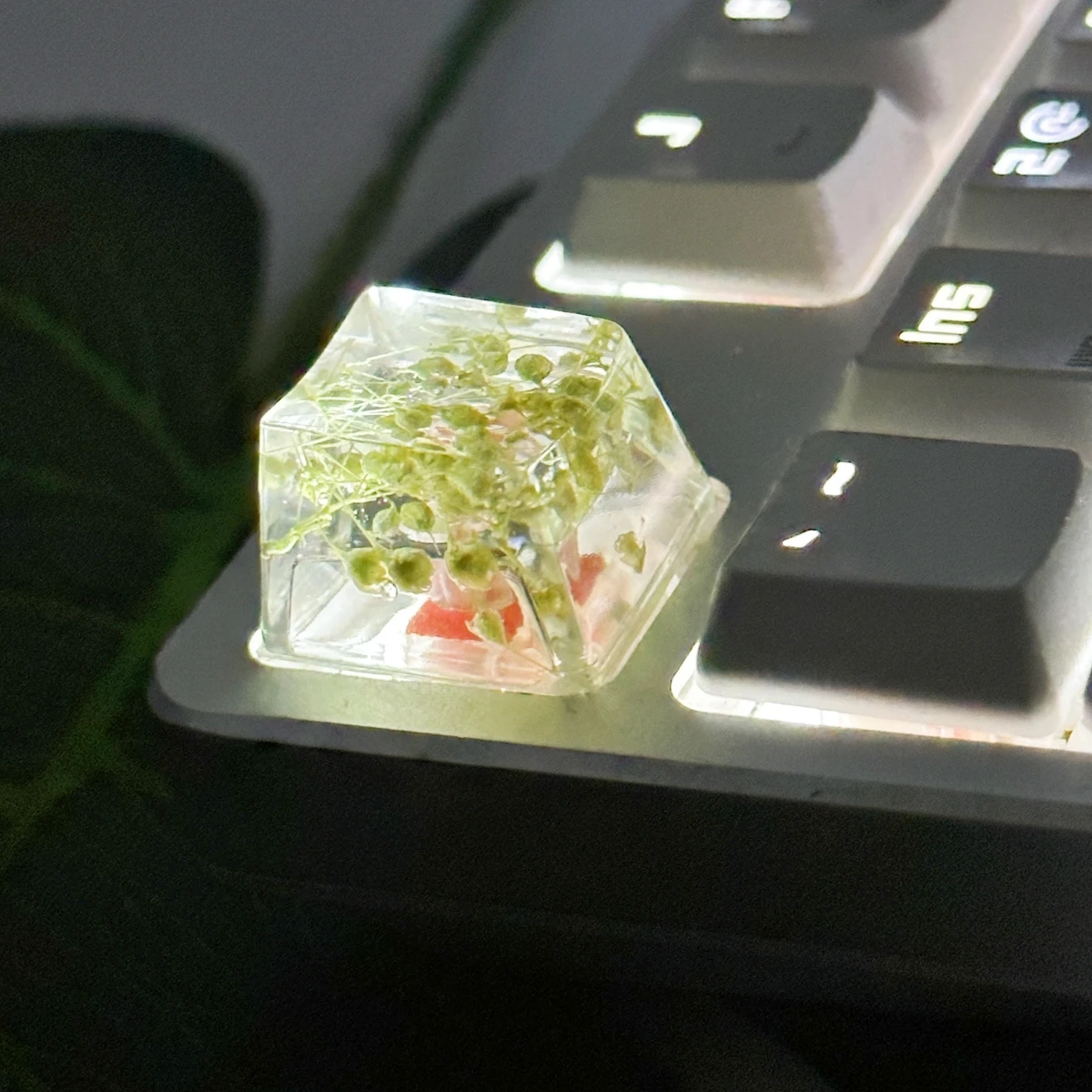 Kk-Cokio Drop glue DIY resin high dry spline cap True flower flower small Full Star Mechanical keyboard key cap, cross shaft hig