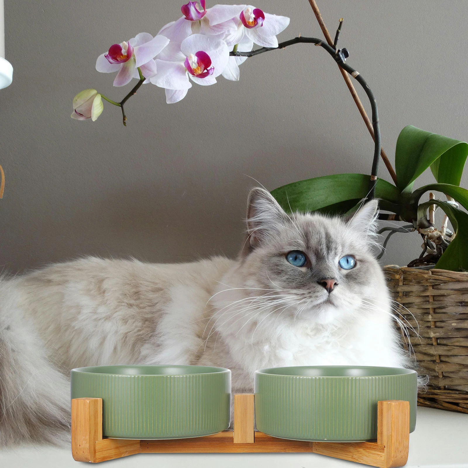 

Ceramic Pet Bowls Wood Stand Double Dishes Matte Green Anti Dog Feeder Smooth Edge Bowl Easy Puppy Food Water