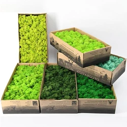 500g/1000g Mini Landscape Moss Grass Eternal Life Fake Grass Artificial Green Plants Home Garden Decoration DIY Crafts