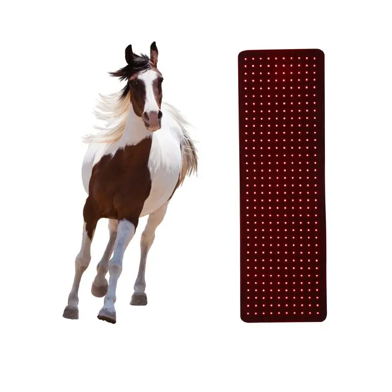 

Animal Horse Pet Use Pulsed LED Therapy Pad 635nm 850nm Red Infrared Belt Affordable Led Therapy Light