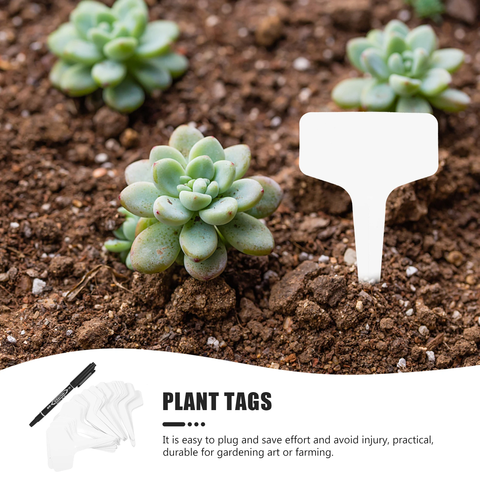 

Gardening Labels Reusable Plant Tags Plants Flowerpot Name Supplies Plastic Practical