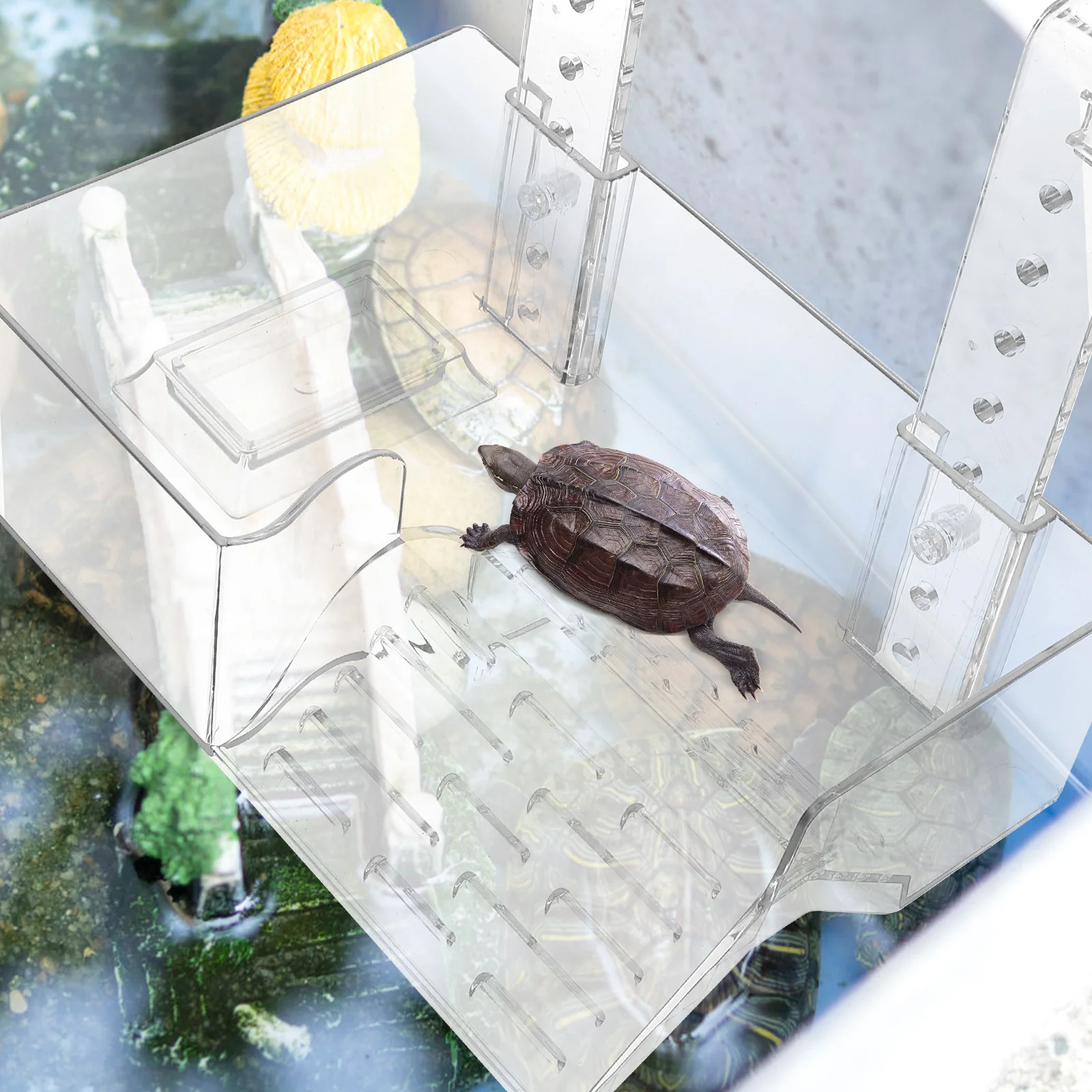 

Platform Wall-mounted Drying Table Aquatic Reptile Tank Turtle Acrylic Accessories
