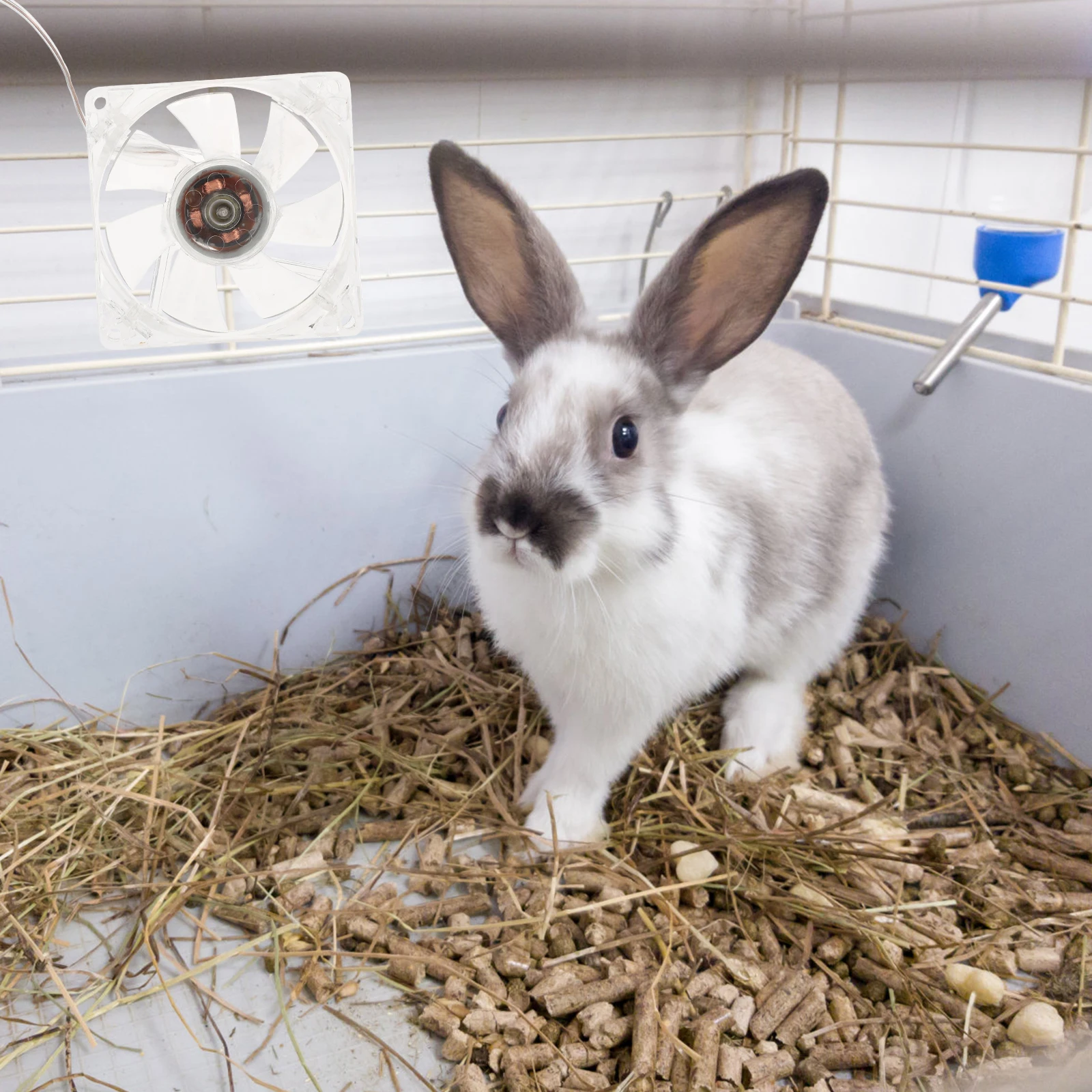 

Acrylic Cage Fan Transparent Pet Cooling Fan Usb Plug In Mini Lightweight Portable For Hamster Rabbit Cage Summer Cooling Tool