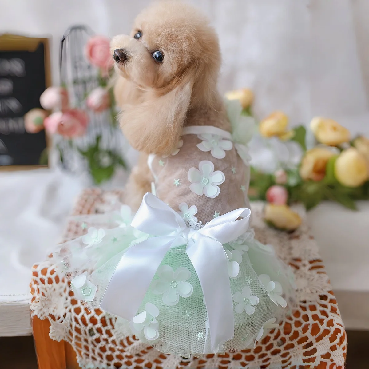 

Green Flower Summer Dress for Small Medium Dogs Lace Chiffon Cute Puppy Pet Skirt Costume Party Birthday Wedding Outfit