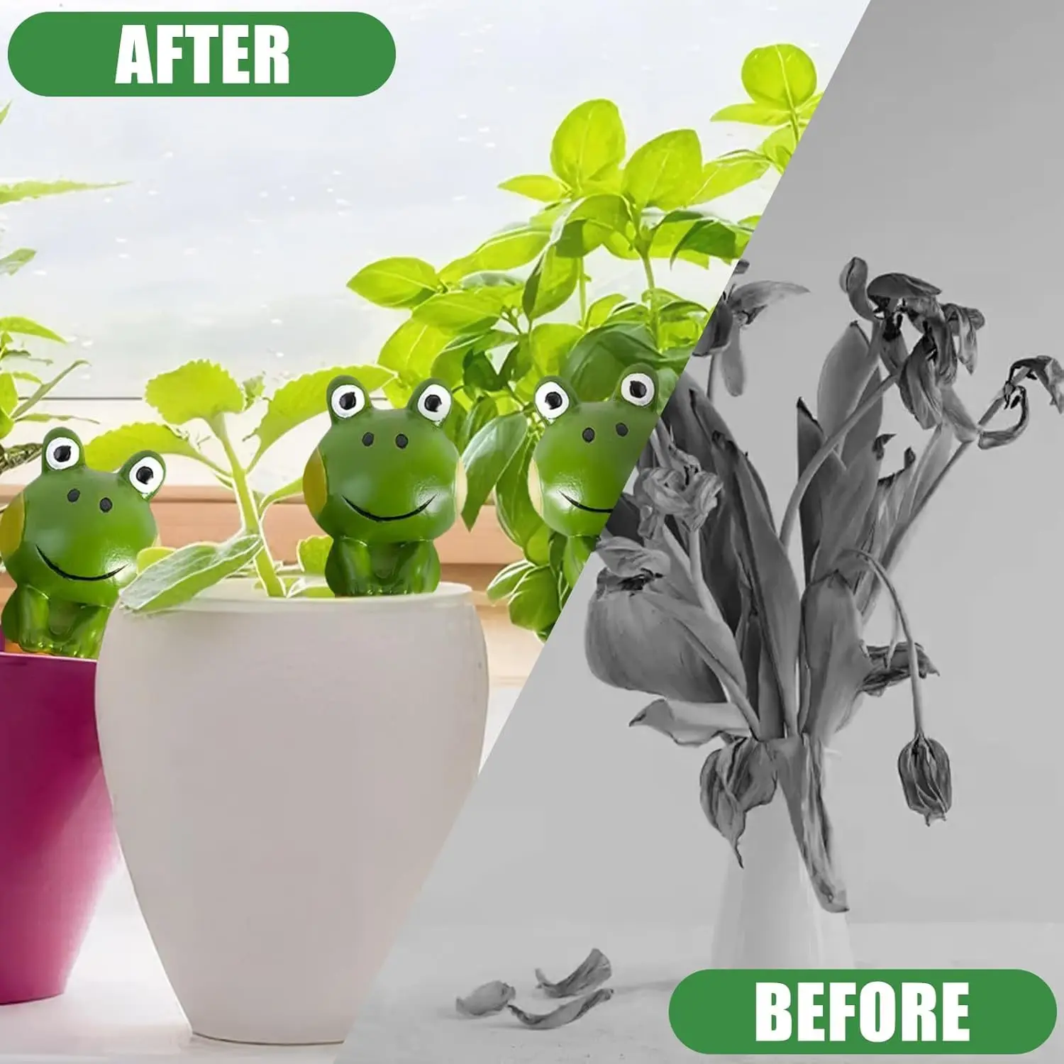 Thumbnail 4 - #13 Latest Watering Globes Offers