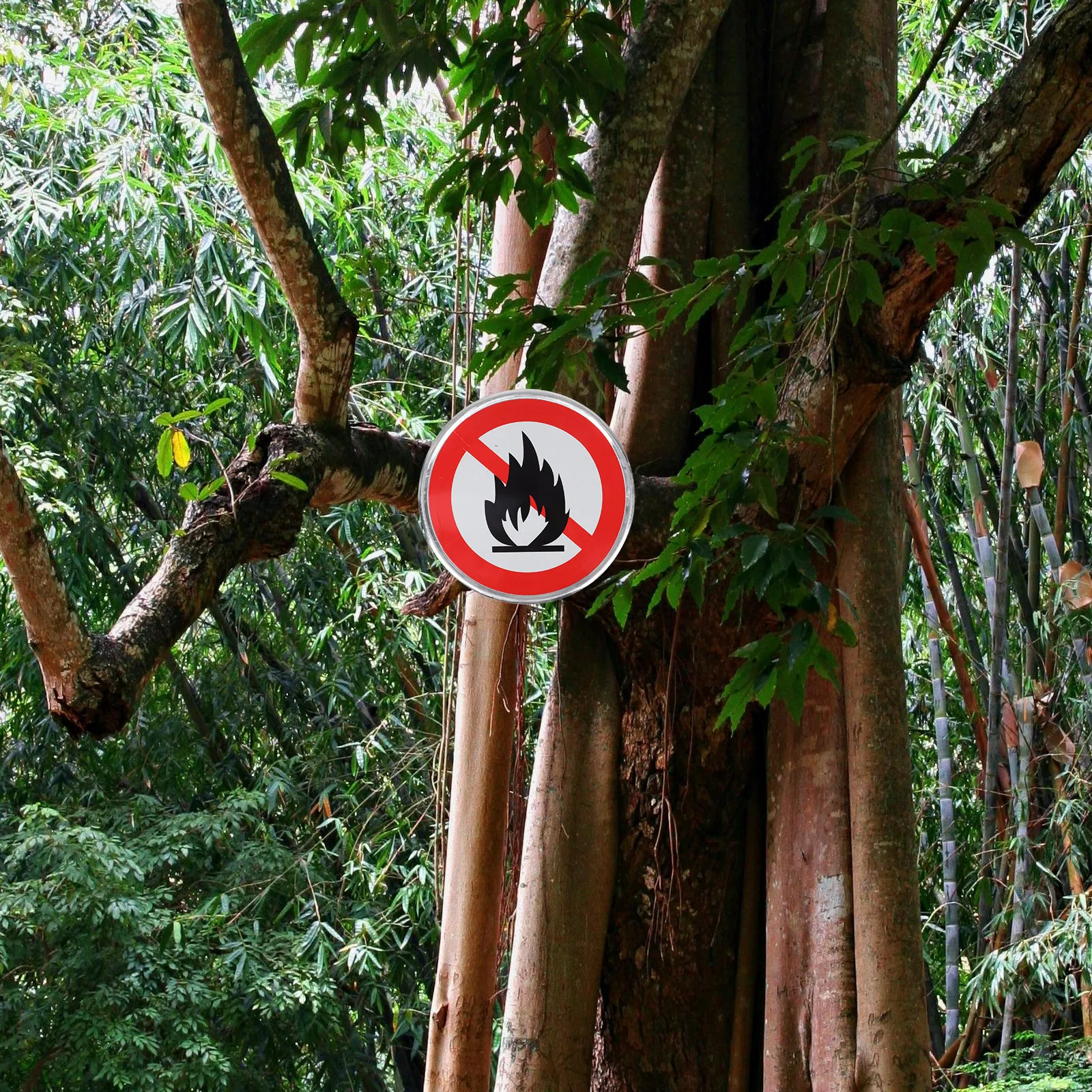 Sinal de prevenção de incêndio durável 30cm cores negrevidas texto claro aviso de segurança sem queima aberta ideal para campos de acampamento florestais caminhadas