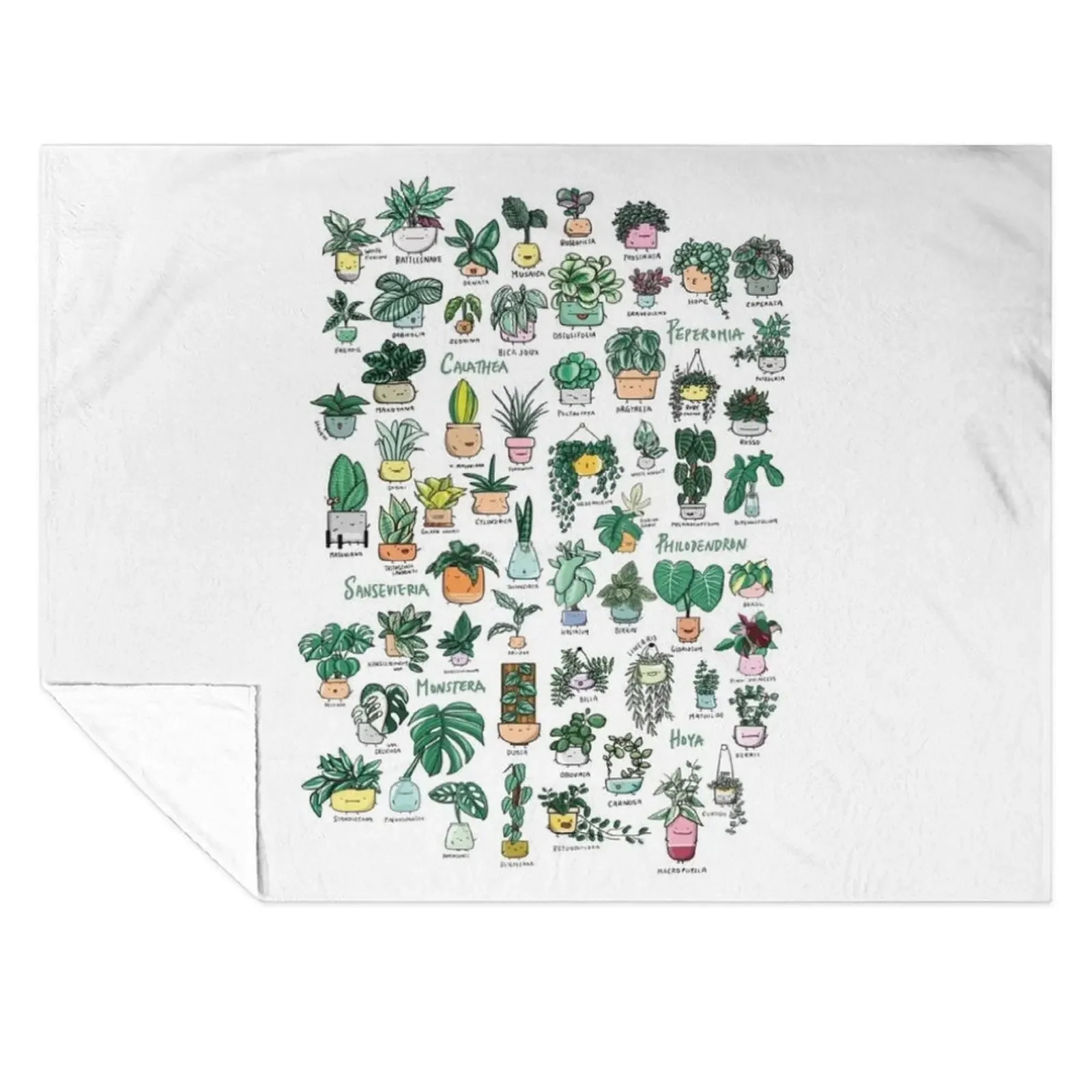 

Plant Families Throw Blanket wednesday decorative manga Comforter Blankets