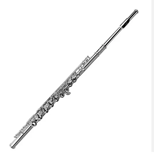Professional C Tone Silver Plated Flute 16 Closed Holes Cupronickel Body Split E Woodwind Instrument For Student Practice