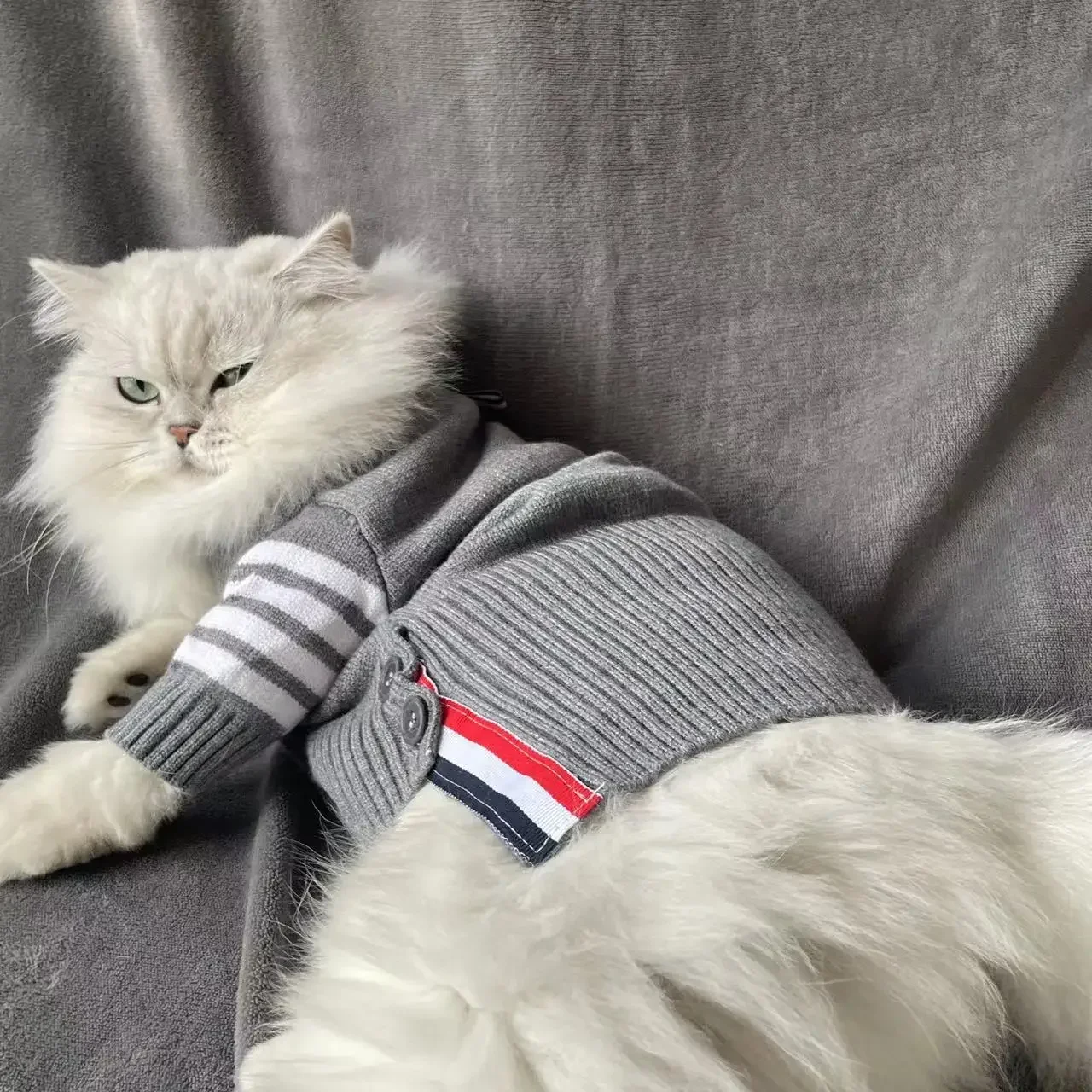 Suéter para cães de estimação, gato de pelúcia, outono e inverno, marca, cardigã de duas pernas, roupas de malha, pano para cães, produtos para animais de estimação, xiaoxiangfeng