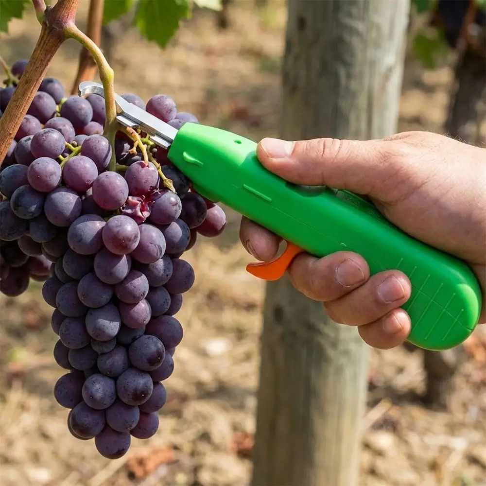 Handheld Berry Picking Tool Ergonomic Heavy-Duty Fruit Harvesting Shears Non-Slip Handle Anti-Scratch Flower Branch Scissors
