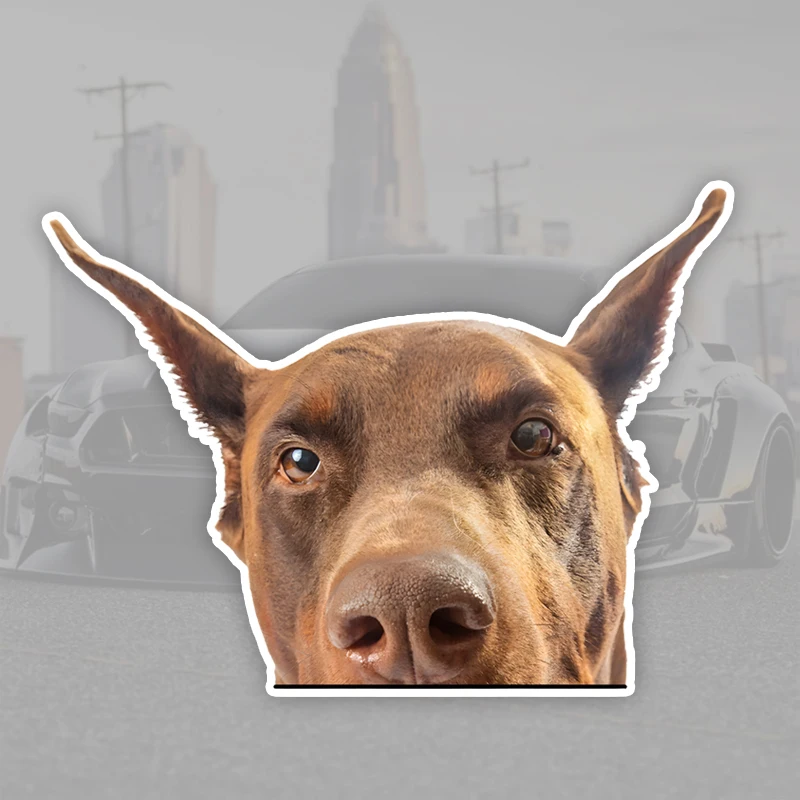 DK315# Doberman Pinscher Cute Animal Car Decals Bumper Window Stickers Car Accessories Waterproof Vinyl Material