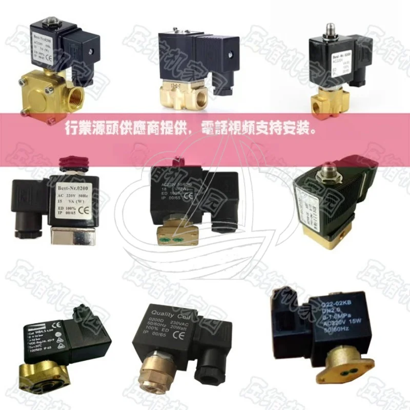 Black Plastic Solenoid Valve Coil Replacement for Screw Air Compressor 1831558 4 1 BJ Control Module Spare Part Assembly