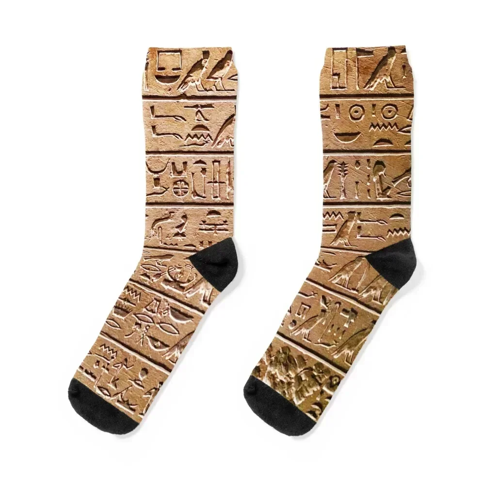 Ancient Egyptian Hieroglyphics Wall Pattern Digital Art Socks bright garter happy Women Socks Men's