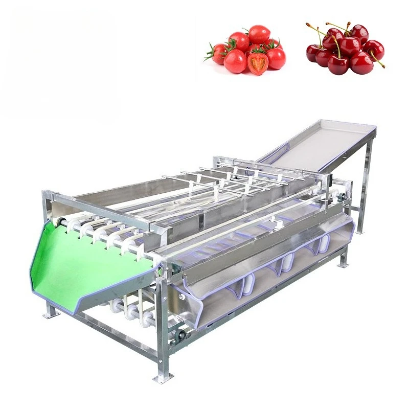 Automatic Fruit Vegetable Nuts Sorting Grading Machine with 304 Stainless Steel for Tomato Potato Blueberry Dates