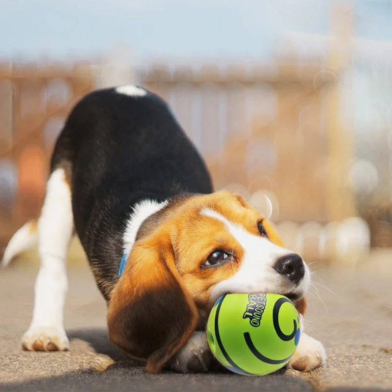 Juguete interactivo para perro resistente con sonido al girar - imagen 3