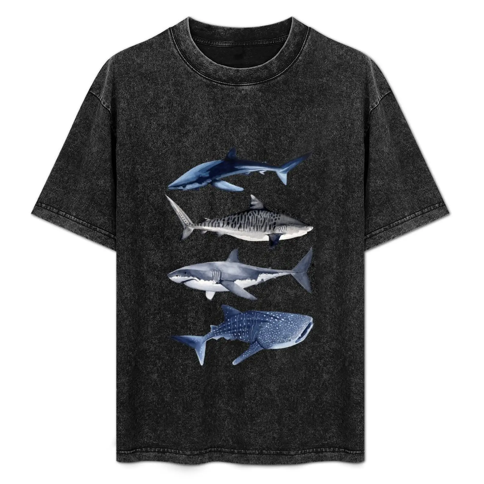 

SHARKS IV-blue, tiger, white and whale sharks T-Shirt funny t shirts cotton t shirt custom print T-Shirt