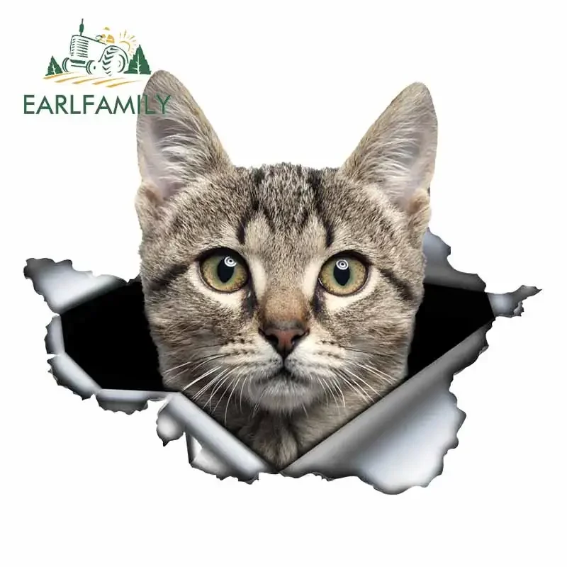

EARLFAMILY 13cm x 10.8cm For Torn Metal Cat Sunscreen Car Stickers DIY Graphics Decal Waterproof Fashion Occlusion Scratch