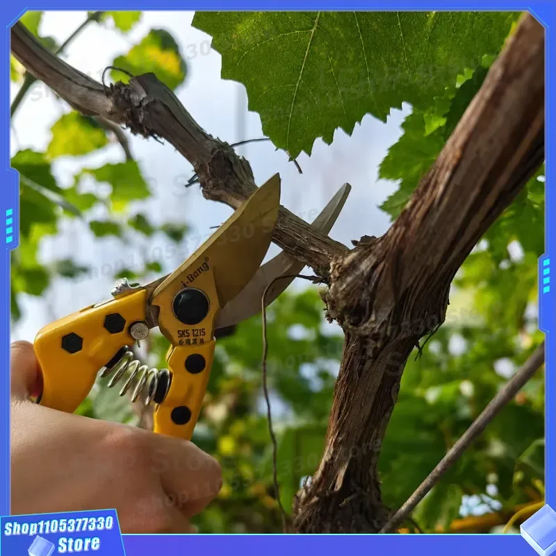131s Stainless Steel Garden Pruning Shears Manual Branch Cutter for Flowers Bonsai Tree Professional Sharp Pruning Knife Tool