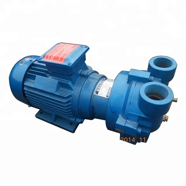 

2026 2BV Series 1inch Water Ring Vacuum Pump