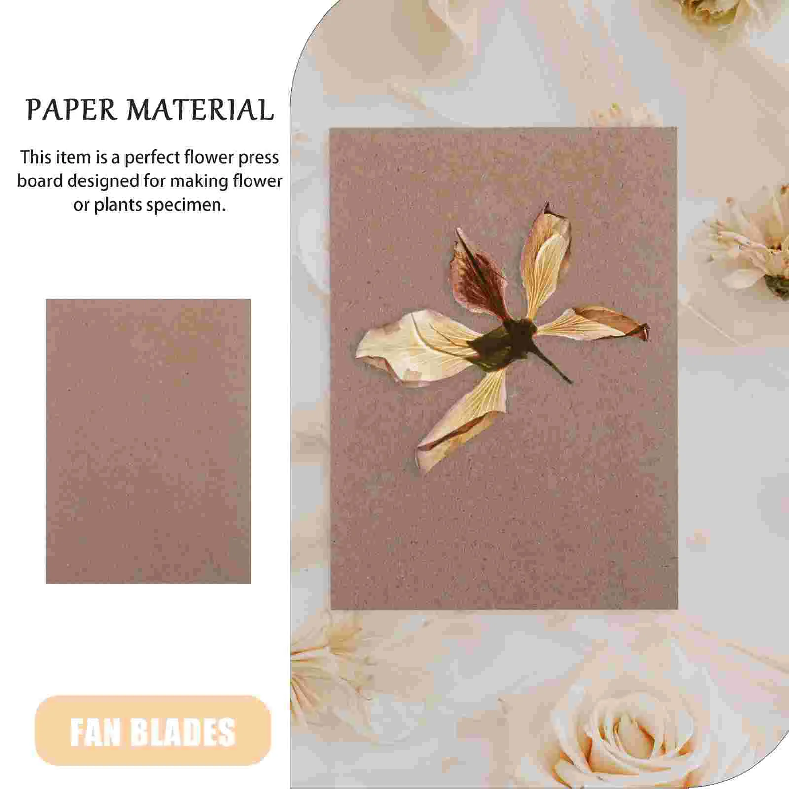 6 Sheets Embossed Paper Flower Press Boards Blotting for Plant Specimen Tool Plants Embossing Machine