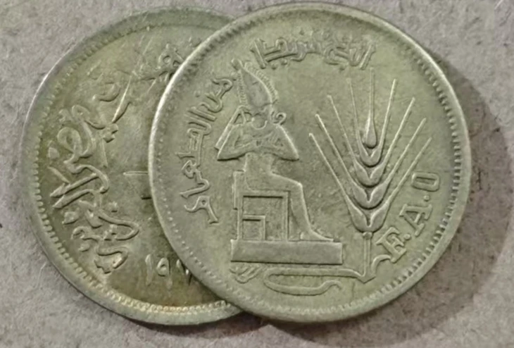 21 ملم مصر 1976 FAO عملة تذكارية مجموعة أصلية حقيقية