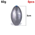 5Pcs 60g