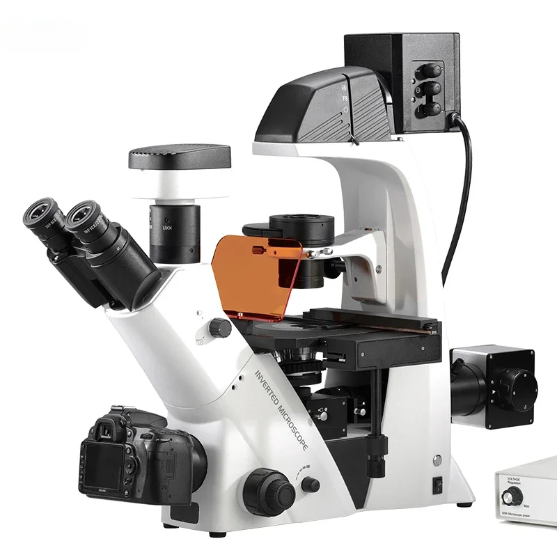 A16.2615-L2 Microscopio BG Epi LED inverted fluorescence Microscope