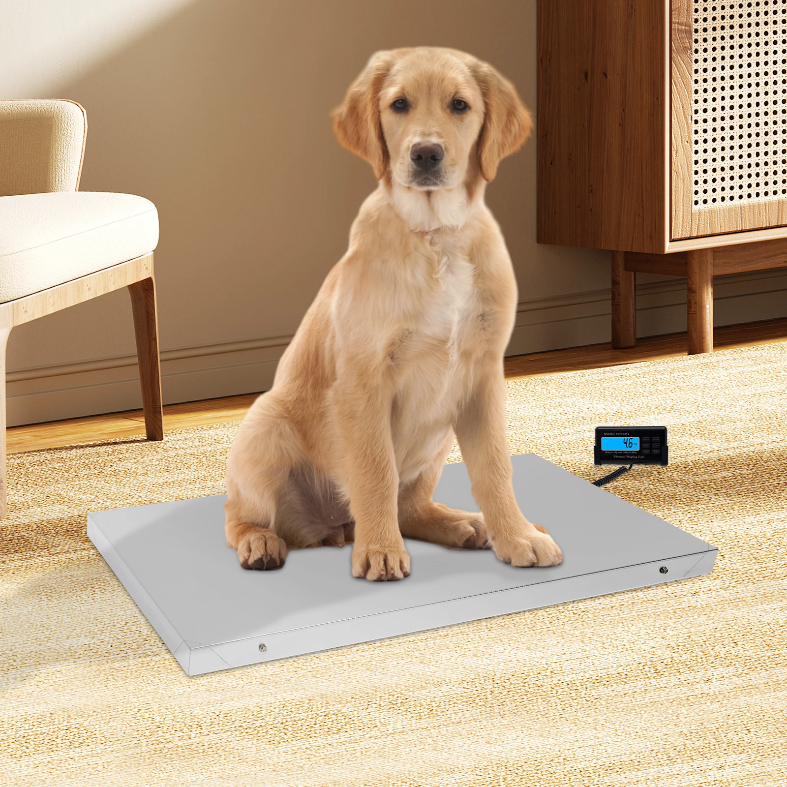 Modern Simple Stainless Steel Animal Digital Scale LCD Monitor 300kg 6 Function Keys for Pets Dual Installation