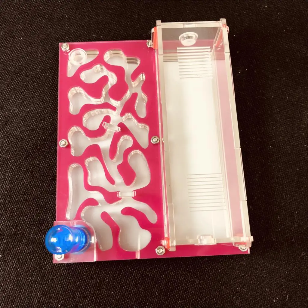 Acrylic Test Tube Ant Farm 5