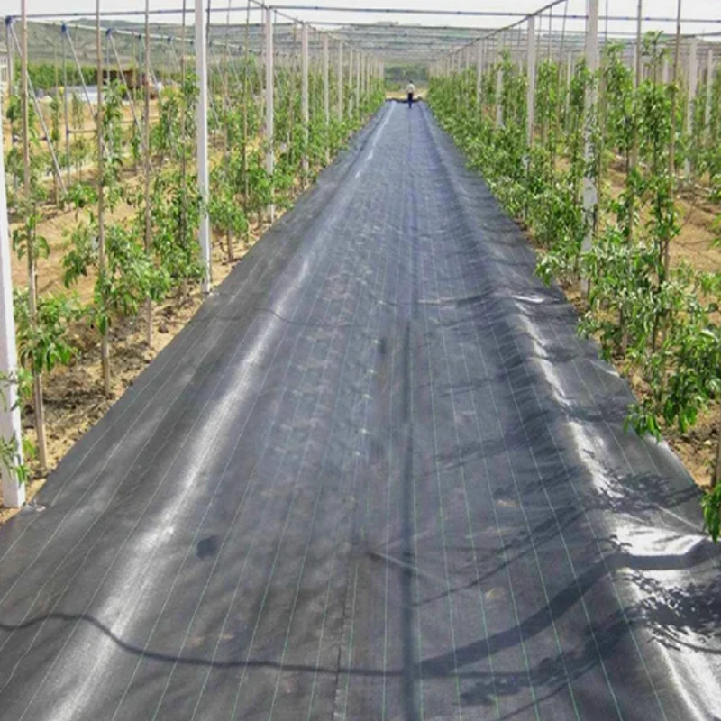 Verstärkte Unkrautvlies-Gewebeplane, Langlebige Vlies-Bodenabdeckung für Gartenbau und Landwirtschaft – Detail 7