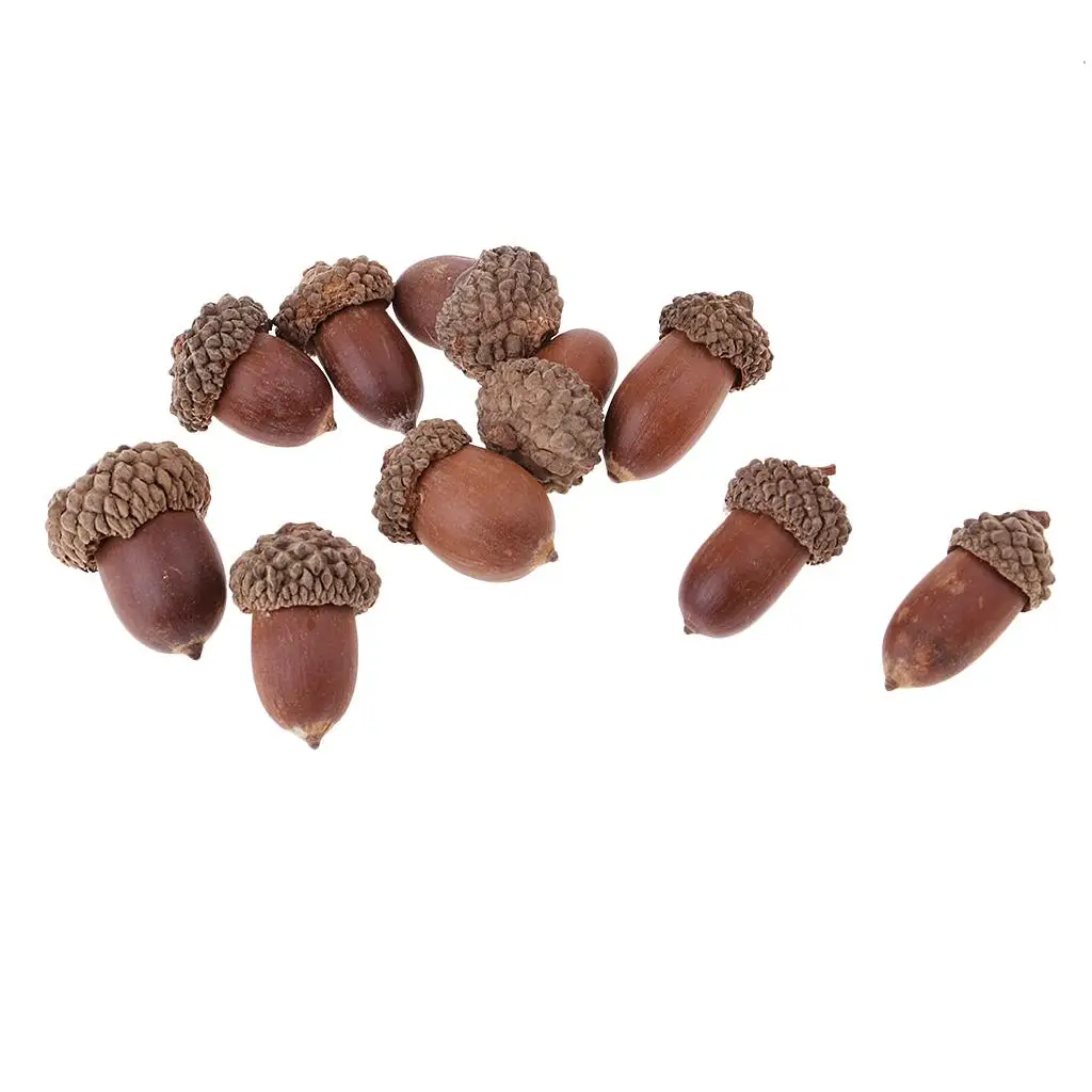 10pcs Rustic Natural Dried Acorn Table Ornaments In Bulk for Accents Decorations Ornaments DIY Floral Crafts