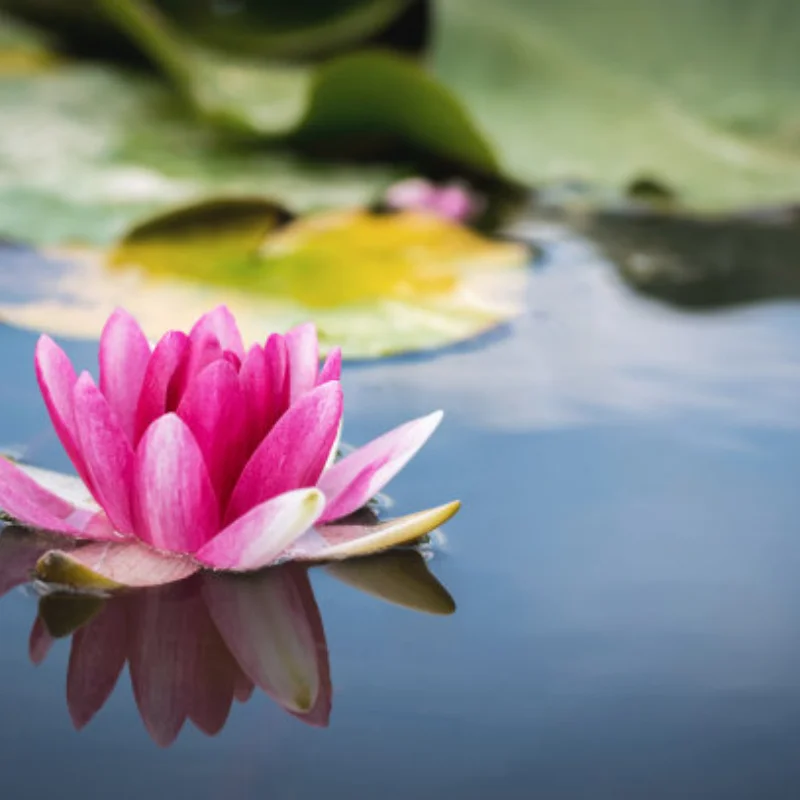 

Carbon Fiber Servo Mount Axle Up Servo Fixed Bracket for Axial SCX10 90021 90022 90028 90016 1/10 RC Crawler Car Upgrade Parts