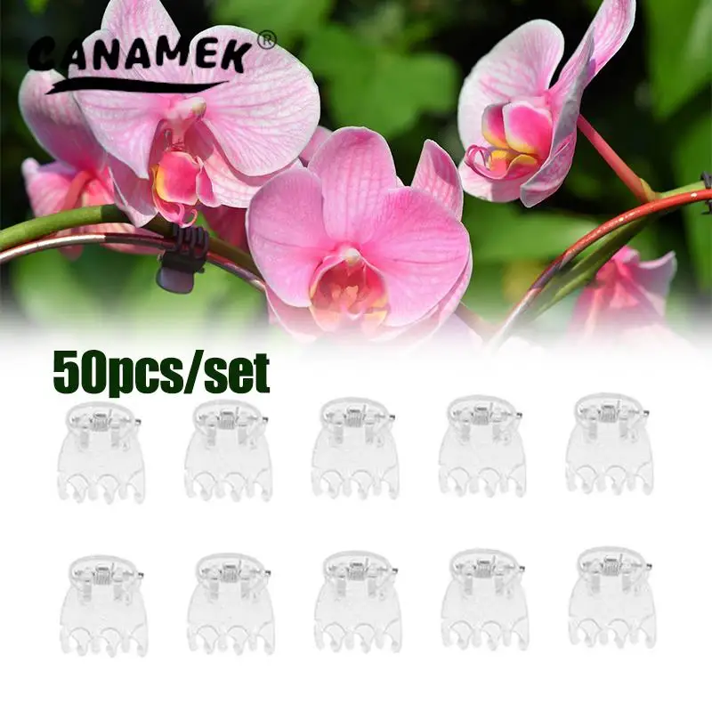 50Pcs Transparent 6 Claws Orchid Clips Plastic Butterfly Flowers Support Clear Fixer For Garden Vine Stem Plants Climbing