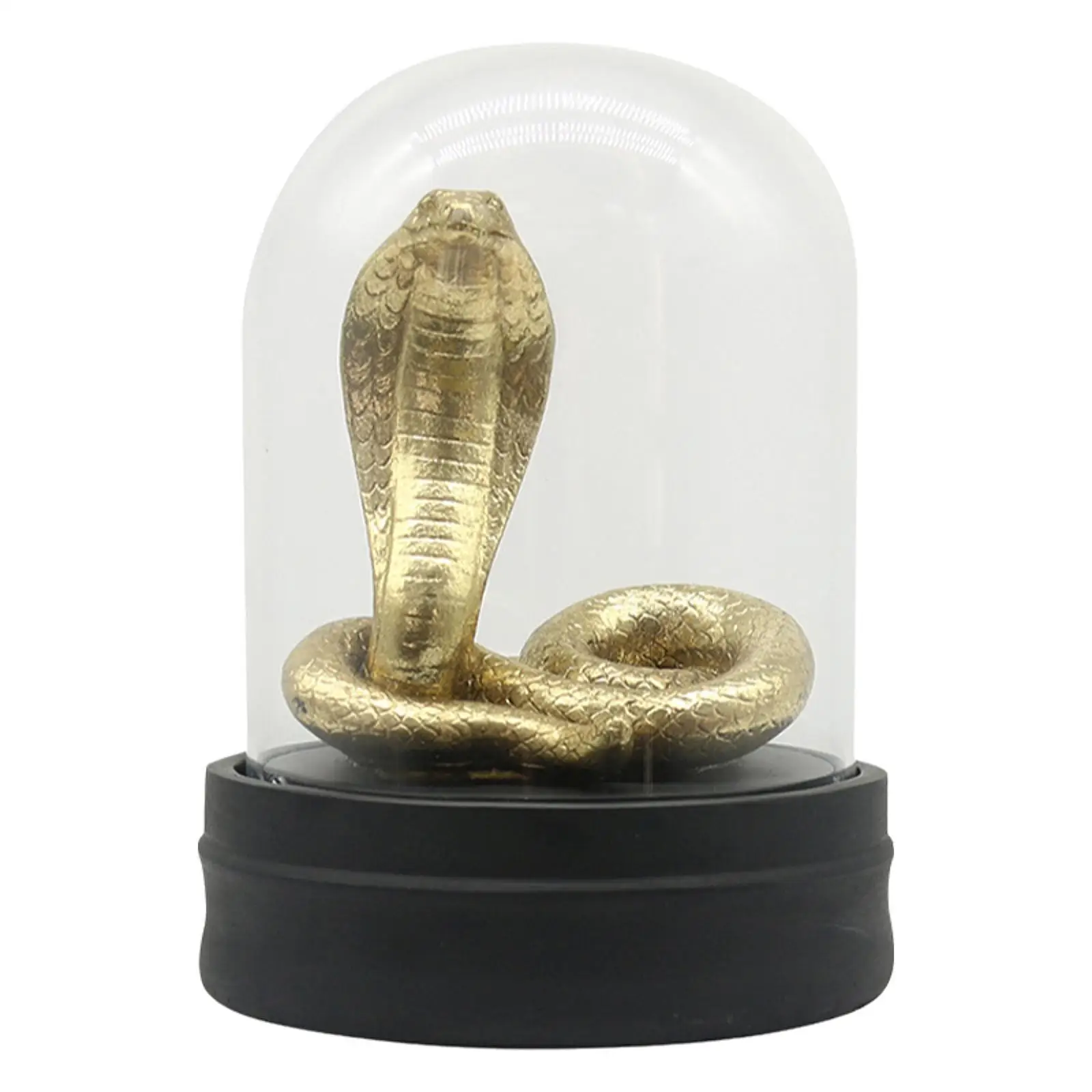 Snake Statue Whith Base Snake Figurine for Living Room Indoor Desk