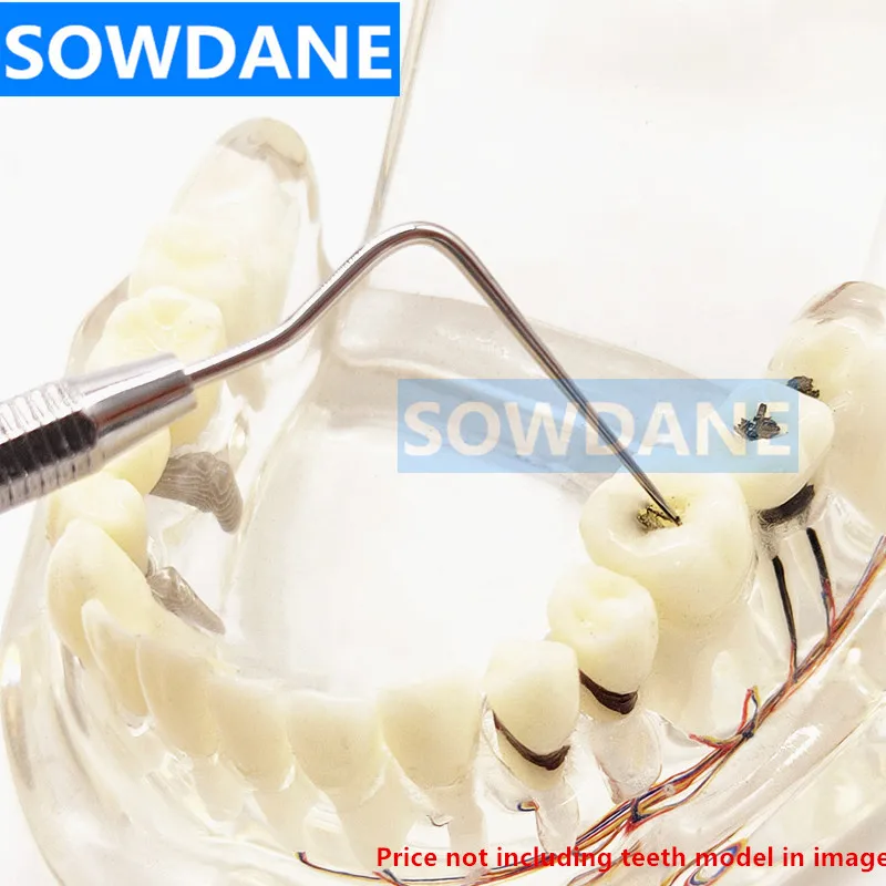 Nowa rączka dentystyczna stal nierdzewna sonda endodontyczna Explorer płaskie/stożkowe narzędzie narzędziowe pielęgnacja jamy ustnej wybielanie zębów