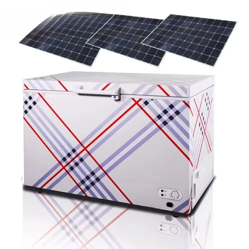 

100L 200L 300L AC DC Solar Freezer Refrigerator Defrost Solar Freezer 12/24V