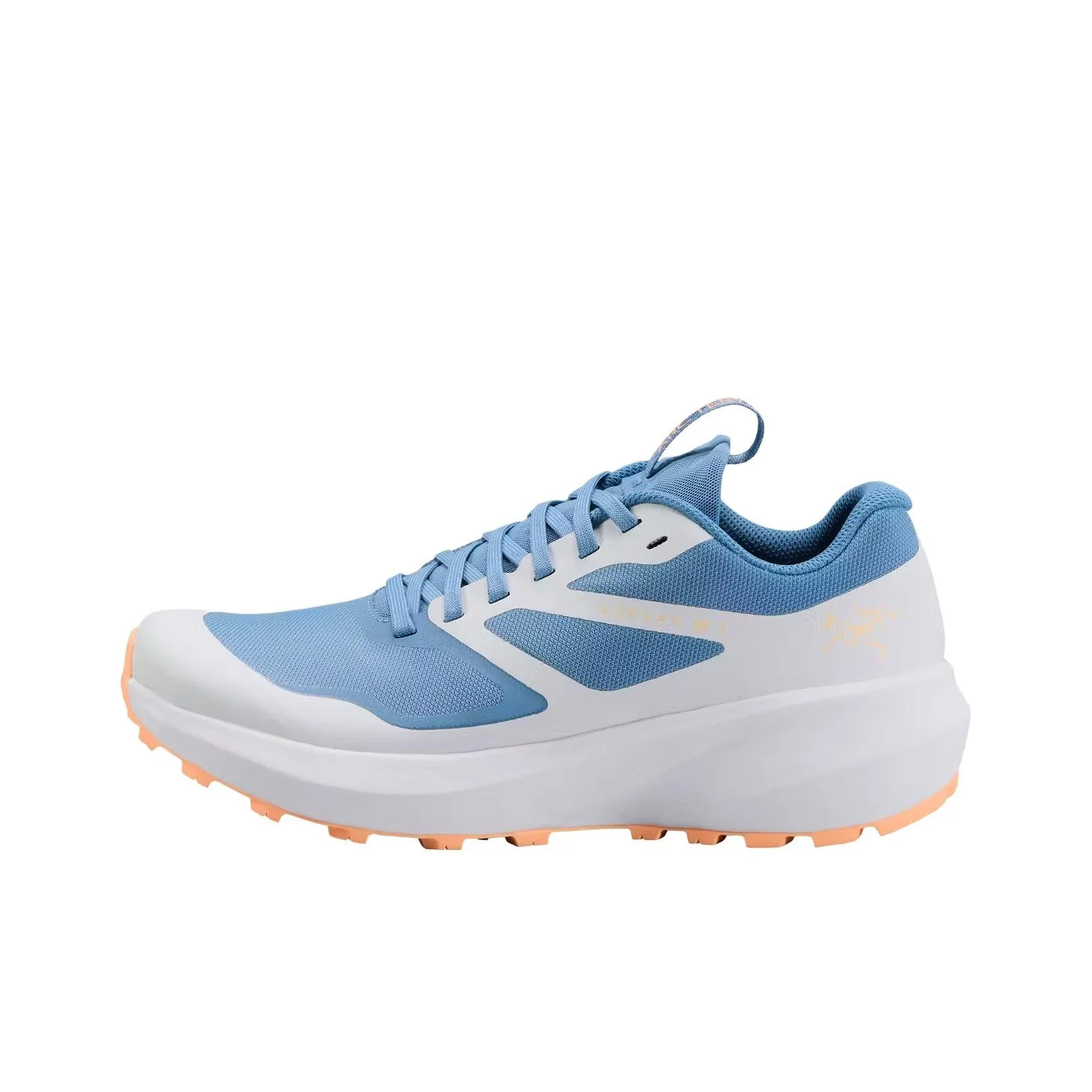 Arc'teryx Norvan LD 3 Lace Up Cushioning Breathable Support Low top Running Shoes Women's Blue X000006999-Stone Wash/Daybreak
