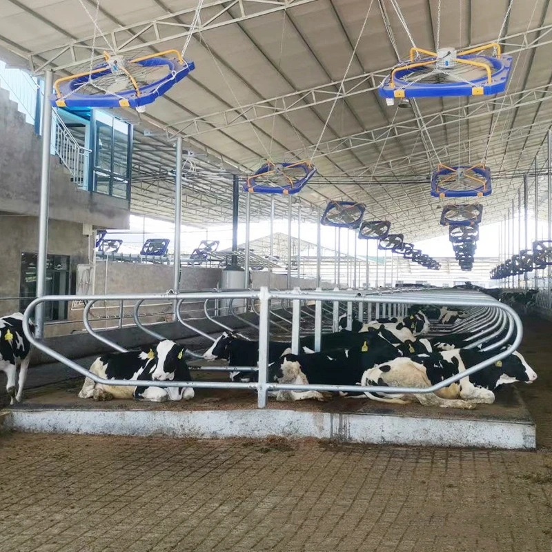 Cow Rest Bed Dairy Farm Hot Dip Galvanized Single/Double Row Type Dairy Cow Free Stall