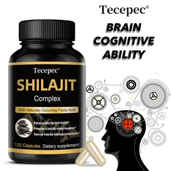 Shilajit Capsules, Endurance, Vitality, Brain Support, with Natural Fulvic Acid, 120 Capsules Dietary Supplement