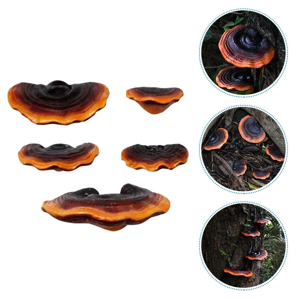 

1Set Resin Mushroom Decorations Ganoderma Realistic Simulation for DIY Garden Micro Landscape Adornment Mushroom Statue