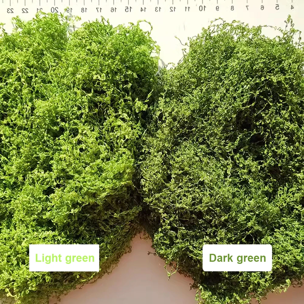 لتقوم بها بنفسك ديوراما محاكاة موس فاين نبات الخضرة نموذج شارع بناء المشهد اكسسوارات الديكور 6 جرام